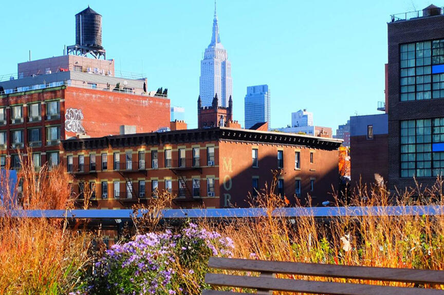 New York Deals - Go City New York Explorer Pass - Big Bus